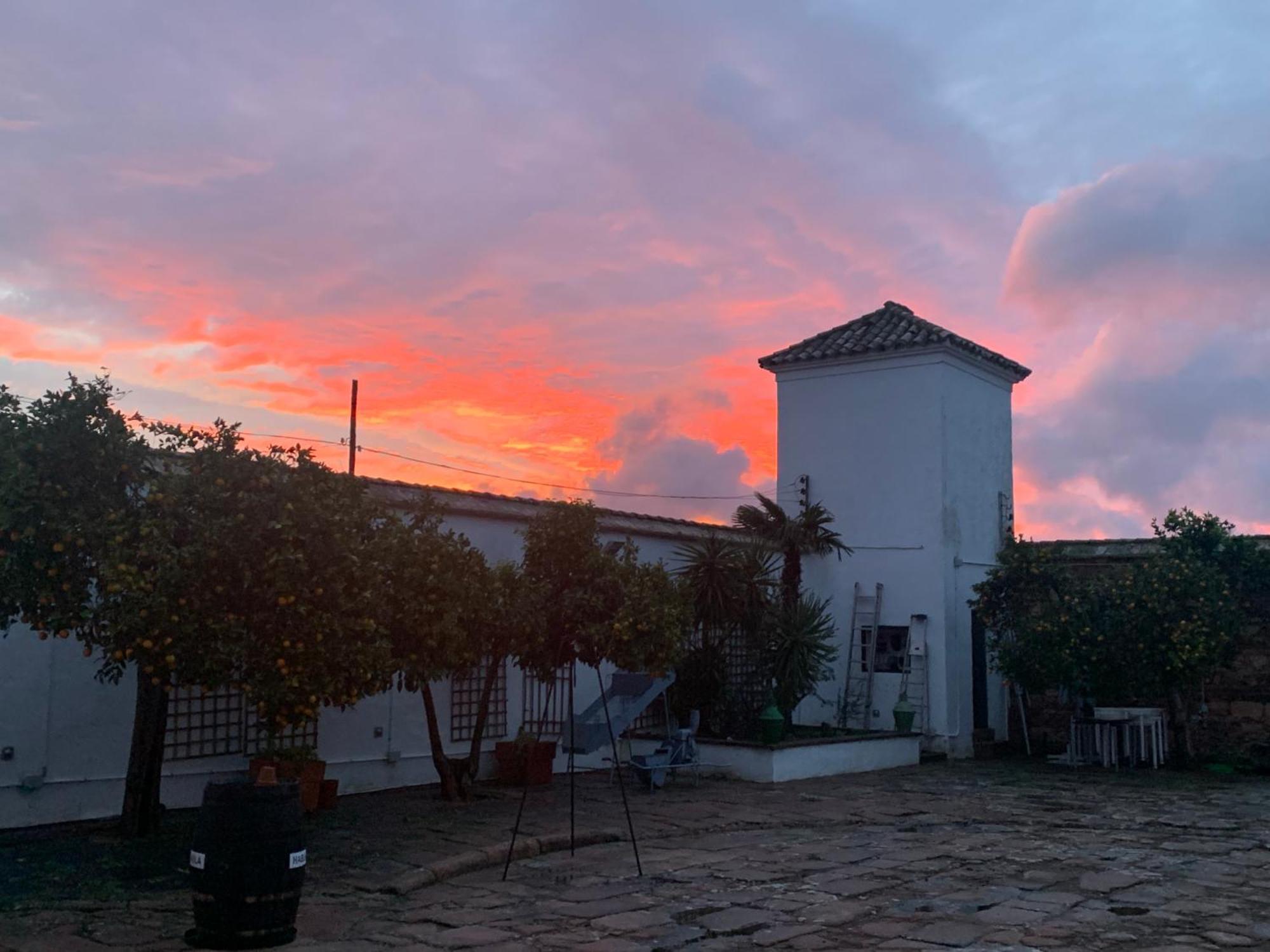 Molino La Nava Guest House Montoro Exterior photo